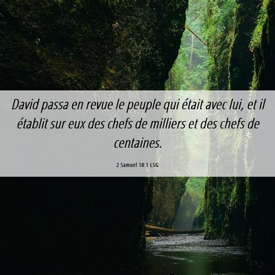 Picture 06 - 2 Samuel 18:1 LSG - David passa en revue le peuple qui était avec - Bible Verse Picture
