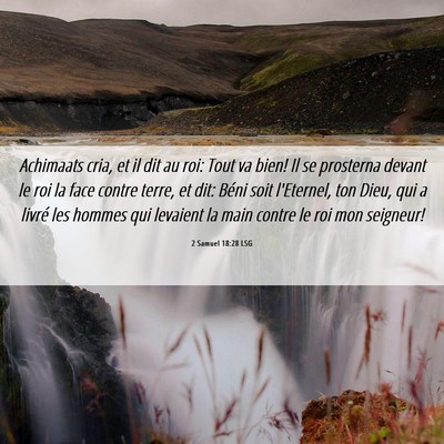 Picture 06 - 2 Samuel 18:28 LSG - Achimaats cria, et il dit au roi: Tout va bien! - Bible Verse Picture