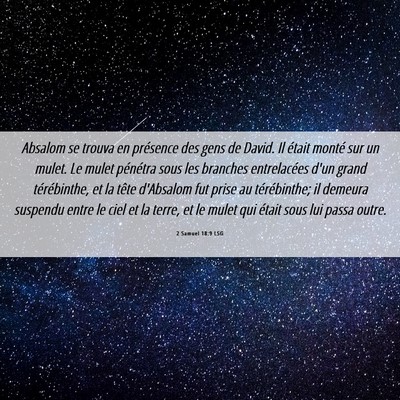 Picture 06 - 2 Samuel 18:9 LSG - Absalom se trouva en présence des gens de David. - Bible Verse Picture
