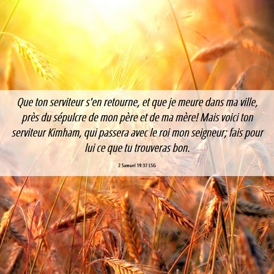 Picture 06 - 2 Samuel 19:37 LSG - Que ton serviteur s'en retourne, et que je meure - Bible Verse Picture