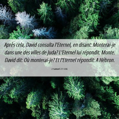 Picture 06 - 2 Samuel 2:1 LSG - Après cela, David consulta l'Eternel, en disant: - Bible Verse Picture