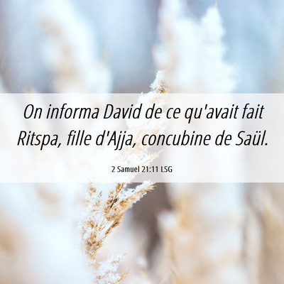 Picture 06 - 2 Samuel 21:11 LSG - On informa David de ce qu'avait fait Ritspa, - Bible Verse Picture