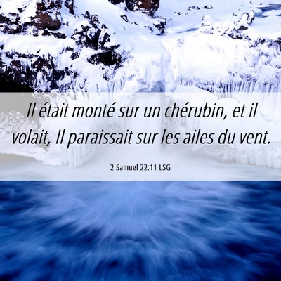 Picture 06 - 2 Samuel 22:11 LSG - Il était monté sur un chérubin, et il volait, - Bible Verse Picture