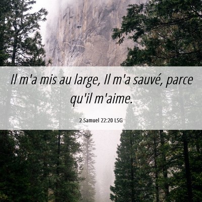 Picture 06 - 2 Samuel 22:20 LSG - Il m'a mis au large, Il m'a sauvé, parce qu'il - Bible Verse Picture