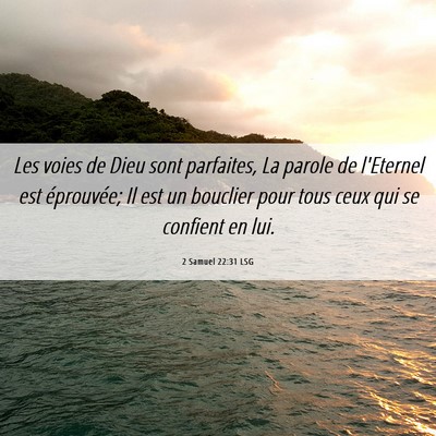 Picture 06 - 2 Samuel 22:31 LSG - Les voies de Dieu sont parfaites, La parole de - Bible Verse Picture