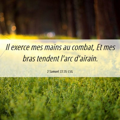 Picture 06 - 2 Samuel 22:35 LSG - Il exerce mes mains au combat, Et mes bras - Bible Verse Picture