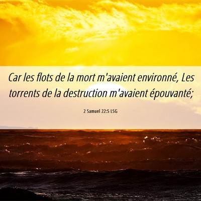Picture 06 - 2 Samuel 22:5 LSG - Car les flots de la mort m'avaient environné, - Bible Verse Picture
