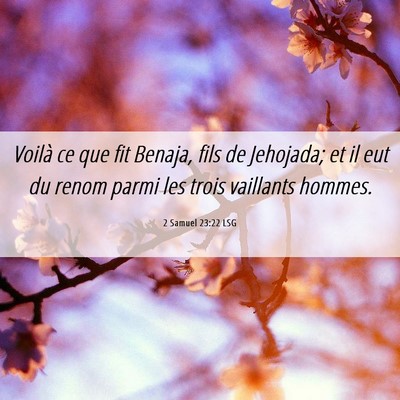 Picture 06 - 2 Samuel 23:22 LSG - Voilà ce que fit Benaja, fils de Jehojada; et il - Bible Verse Picture