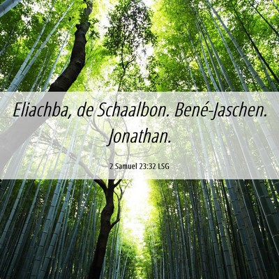 Picture 06 - 2 Samuel 23:32 LSG - Eliachba, de Schaalbon. Bené-Jaschen. - Bible Verse Picture