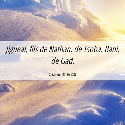 Picture 06 - 2 Samuel 23:36 LSG - Jigueal, fils de Nathan, de Tsoba. Bani, de - Bible Verse Picture