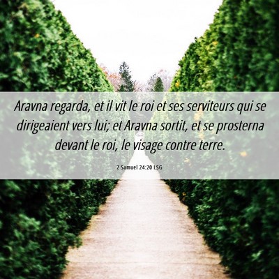 Picture 06 - 2 Samuel 24:20 LSG - Aravna regarda, et il vit le roi et ses - Bible Verse Picture