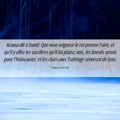 Picture 06 - 2 Samuel 24:22 LSG - Aravna dit à David: Que mon seigneur le roi - Bible Verse Picture