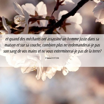 Picture 06 - 2 Samuel 4:11 LSG - et quand des méchants ont assassiné un homme - Bible Verse Picture