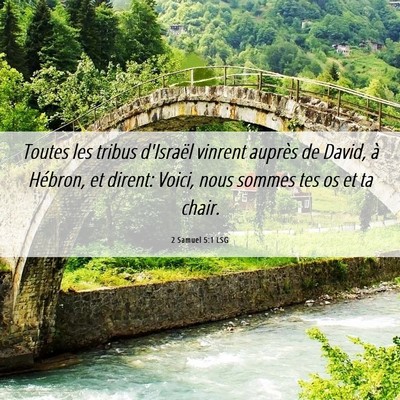 Picture 06 - 2 Samuel 5:1 LSG - Toutes les tribus d'Israël vinrent auprès de - Bible Verse Picture