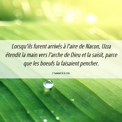 Picture 06 - 2 Samuel 6:6 LSG - Lorsqu'ils furent arrivés à l'aire de Nacon, - Bible Verse Picture