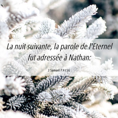 Picture 06 - 2 Samuel 7:4 LSG - La nuit suivante, la parole de l'Eternel fut - Bible Verse Picture