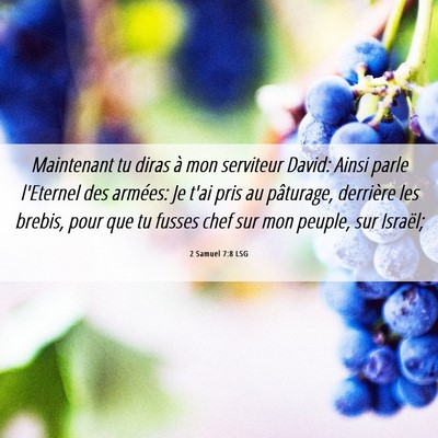 Picture 06 - 2 Samuel 7:8 LSG - Maintenant tu diras à mon serviteur David: Ainsi - Bible Verse Picture
