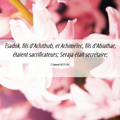 Picture 06 - 2 Samuel 8:17 LSG - Tsadok, fils d'Achithub, et Achimélec, fils - Bible Verse Picture