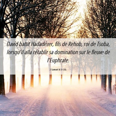 Picture 06 - 2 Samuel 8:3 LSG - David battit Hadadézer, fils de Rehob, roi de - Bible Verse Picture