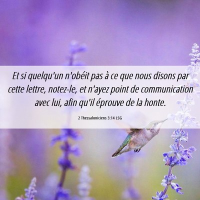 Picture 06 - 2 Thessaloniciens 3:14 LSG - Et si quelqu'un n'obéit pas à ce que nous - Bible Verse Picture