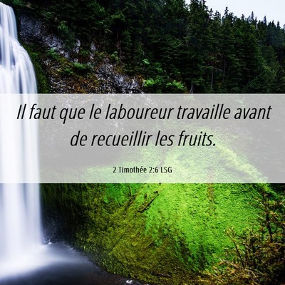 Picture 06 - 2 Timothée 2:6 LSG - Il faut que le laboureur travaille avant de - Bible Verse Picture