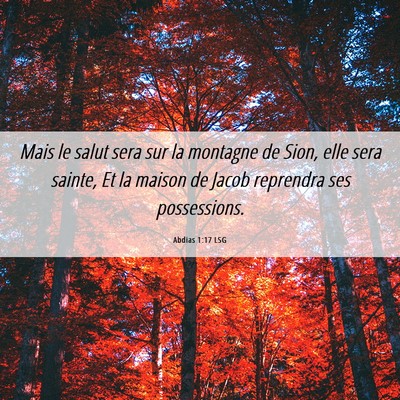 Picture 06 - Abdias 1:17 LSG - Mais le salut sera sur la montagne de Sion, elle - Bible Verse Picture