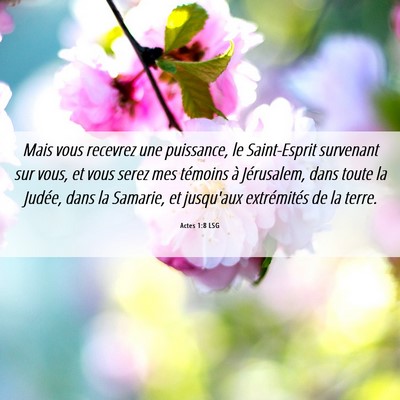 Picture 06 - Actes 1:8 LSG - Mais vous recevrez une puissance, le Saint-Esprit - Bible Verse Picture