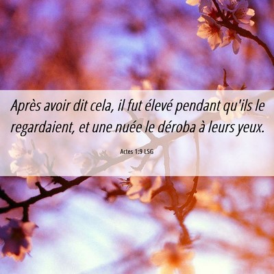 Picture 06 - Actes 1:9 LSG - Après avoir dit cela, il fut élevé pendant - Bible Verse Picture