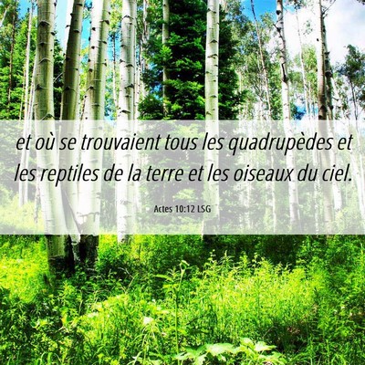 Picture 06 - Actes 10:12 LSG - et où se trouvaient tous les quadrupèdes et les - Bible Verse Picture