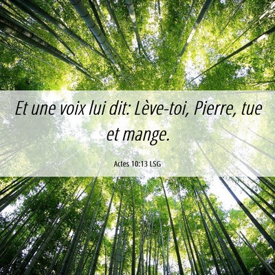 Picture 06 - Actes 10:13 LSG - Et une voix lui dit: Lève-toi, Pierre, tue et - Bible Verse Picture