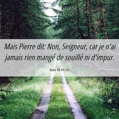Picture 06 - Actes 10:14 LSG - Mais Pierre dit: Non, Seigneur, car je n'ai - Bible Verse Picture
