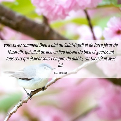 Picture 06 - Actes 10:38 LSG - vous savez comment Dieu a oint du Saint-Esprit et - Bible Verse Picture