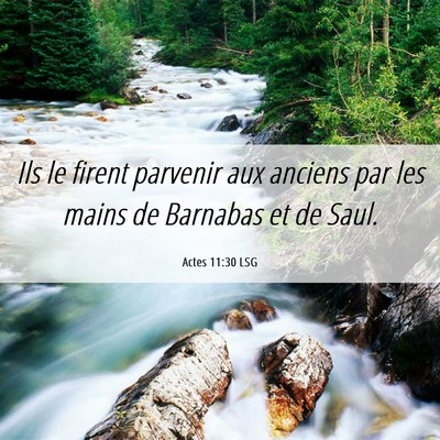 Picture 06 - Actes 11:30 LSG - Ils le firent parvenir aux anciens par les mains - Bible Verse Picture