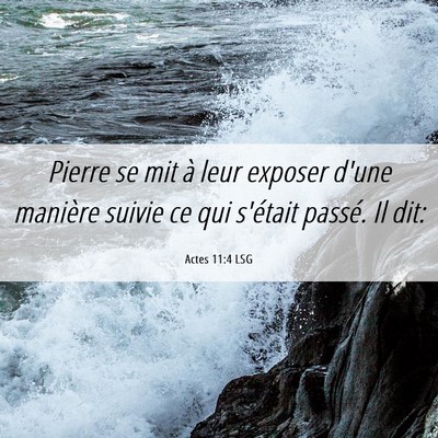 Picture 06 - Actes 11:4 LSG - Pierre se mit à leur exposer d'une manière - Bible Verse Picture