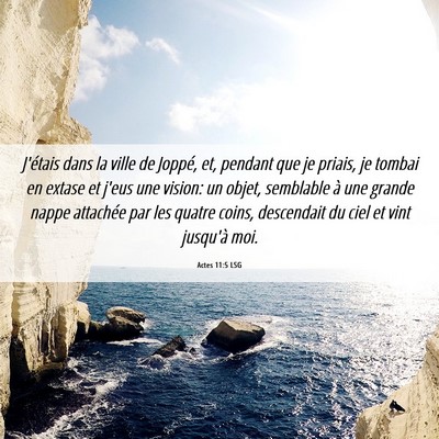 Picture 06 - Actes 11:5 LSG - J'étais dans la ville de Joppé, et, pendant que - Bible Verse Picture