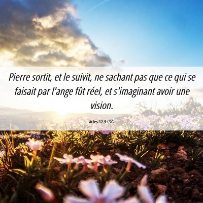 Picture 06 - Actes 12:9 LSG - Pierre sortit, et le suivit, ne sachant pas que - Bible Verse Picture