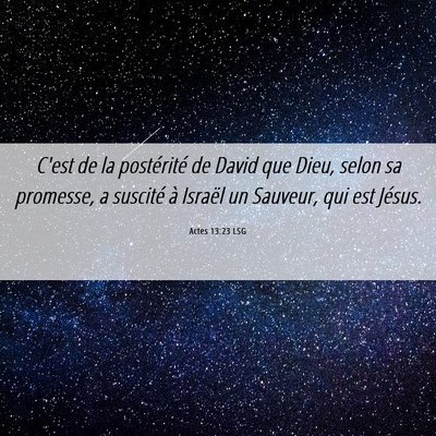 Picture 06 - Actes 13:23 LSG - C'est de la postérité de David que Dieu, selon - Bible Verse Picture
