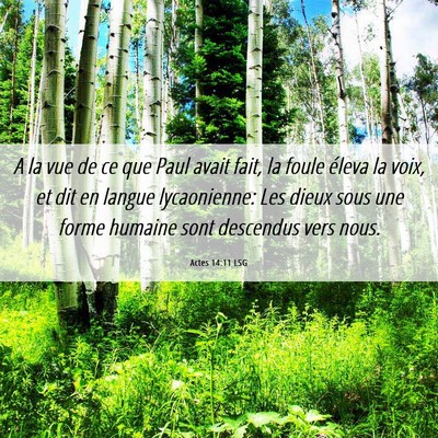 Picture 06 - Actes 14:11 LSG - A la vue de ce que Paul avait fait, la foule - Bible Verse Picture