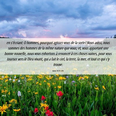 Picture 06 - Actes 14:15 LSG - en s'écriant: O hommes, pourquoi agissez-vous de - Bible Verse Picture
