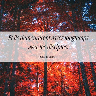 Picture 06 - Actes 14:28 LSG - Et ils demeurèrent assez longtemps avec les - Bible Verse Picture