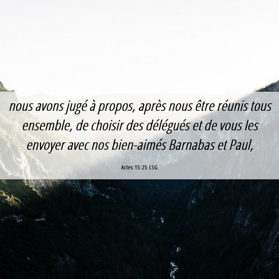 Picture 06 - Actes 15:25 LSG - nous avons jugé à propos, après nous être - Bible Verse Picture