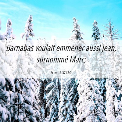 Picture 06 - Actes 15:37 LSG - Barnabas voulait emmener aussi Jean, surnommé - Bible Verse Picture