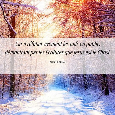 Picture 06 - Actes 18:28 LSG - Car il réfutait vivement les Juifs en public, - Bible Verse Picture