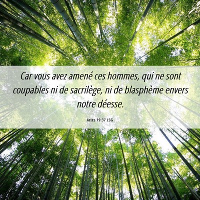 Picture 06 - Actes 19:37 LSG - Car vous avez amené ces hommes, qui ne sont - Bible Verse Picture