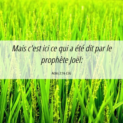 Picture 06 - Actes 2:16 LSG - Mais c'est ici ce qui a été dit par le - Bible Verse Picture