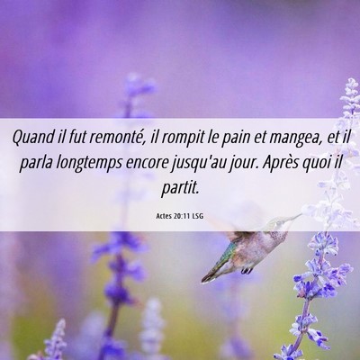 Picture 06 - Actes 20:11 LSG - Quand il fut remonté, il rompit le pain et - Bible Verse Picture