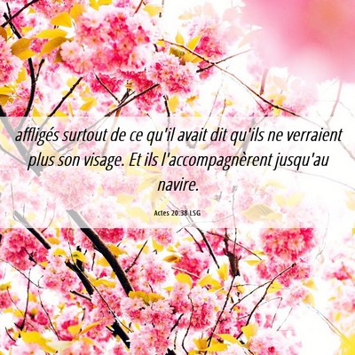 Picture 06 - Actes 20:38 LSG - affligés surtout de ce qu'il avait dit qu'ils ne - Bible Verse Picture