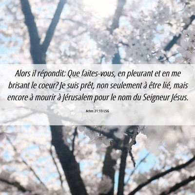 Picture 06 - Actes 21:13 LSG - Alors il répondit: Que faites-vous, en pleurant - Bible Verse Picture