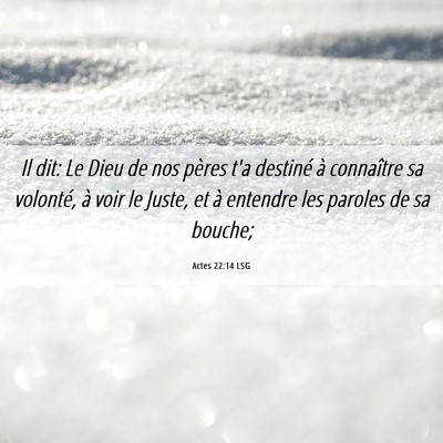Picture 06 - Actes 22:14 LSG - Il dit: Le Dieu de nos pères t'a destiné à - Bible Verse Picture