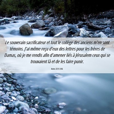 Picture 06 - Actes 22:5 LSG - Le souverain sacrificateur et tout le collège - Bible Verse Picture
